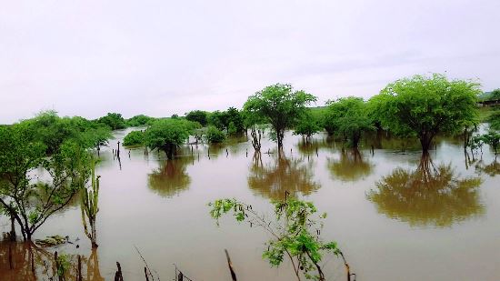 O internauta Fermivaldo de Santo Antônio povoado de São Domingos enviou essa foto do Rio Jacuipe, o mesmo passa o maior tempo praticamente seco, com água normal não atinge mais que 10 metros de largura na passagem da ponte.