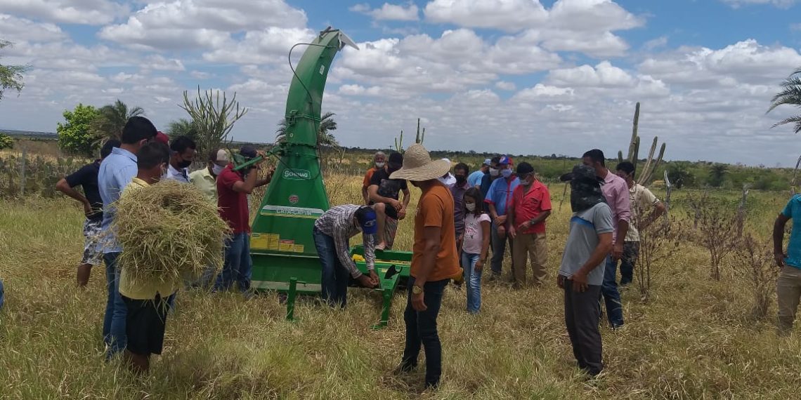 Com novos equipamentos associação de Capim Grosso aumenta em 50% a produção de leite